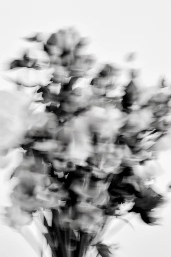 Ethereal Kinetic Monochrome style reference image — minimalist white background