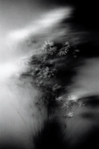 Spectral Kinetic Monochrome style reference image — ethereal movement