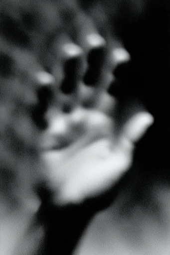 Ethereal Monochrome Noir style reference image — pictorialist aesthetic