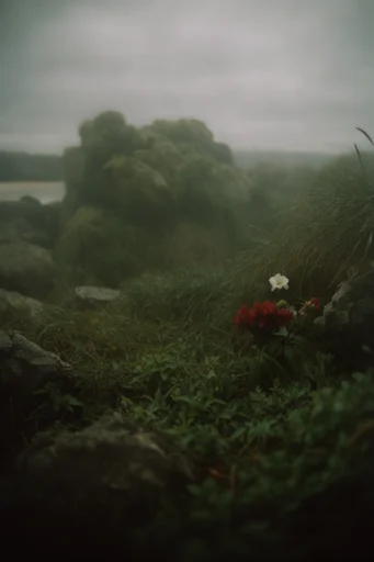 Cinematic Earthy Nostalgia style reference image — muted earthy tones