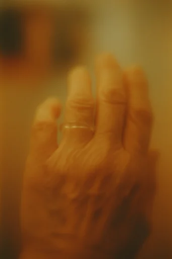 Hazy Amber Nostalgia style reference image — soft focus dreamlike haze
