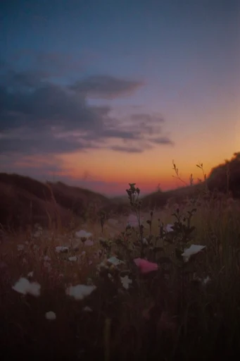 Nostalgic Twilight Haze style reference image — muted vintage tones