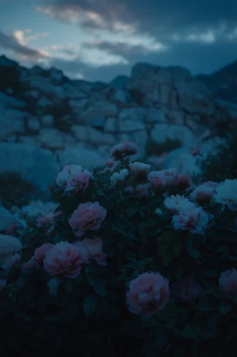 Cinematic Urban Nocturne style reference image — shallow depth of field