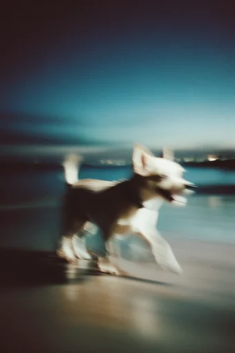 Nocturnal Cinematic Blur style reference image — glowing nocturnal light