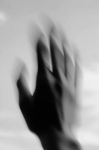 Ethereal Monochrome Kineticism style reference image — ghostly motion blur