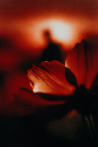 Analog Apocalyptic Radiance style reference image — vintage light bleed
