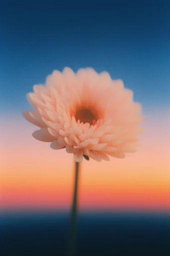 Nostalgic Analog Surrealism style reference image — nocturnal atmospheric haze