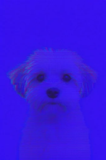 Prismatic Chrome Glitch style reference image — high-contrast digital noise