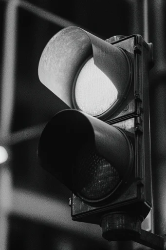 Cinematic Chiaroscuro Noir style reference image — high-contrast monochrome