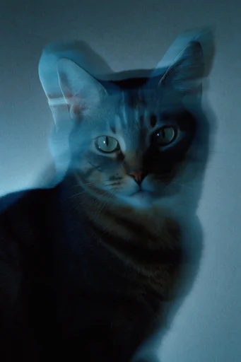 Spectral Motion Noir style reference image — chromatic aberration