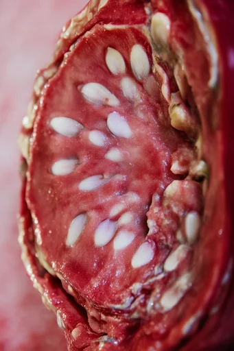 Visceral Macro Beauty style reference image — hyper-detailed skin texture