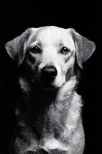 Gritty Monochromatic Noir style reference image — raw punk zine photography
