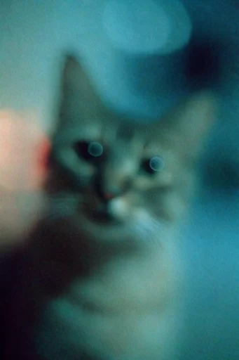 Ethereal Nocturnal Blur style reference image — cinematic low-light