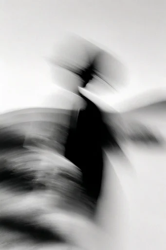 Ethereal Kinetic Monochrome style reference image — intentional camera movement