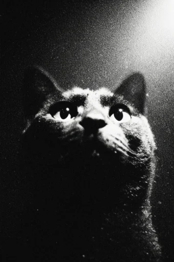 Cinematic Noir Chiaroscuro style reference image — stark minimalism