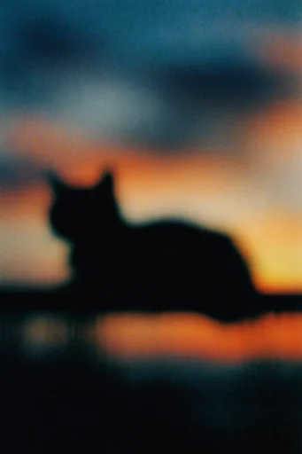 Spectral Analog Blur style reference image — dreamlike haze