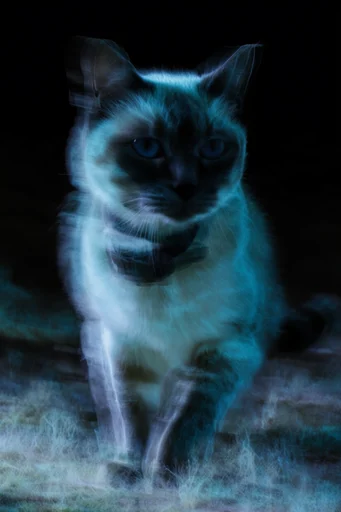 Luminescent Spectral Glitch style reference image — ethereal cyanotype texture