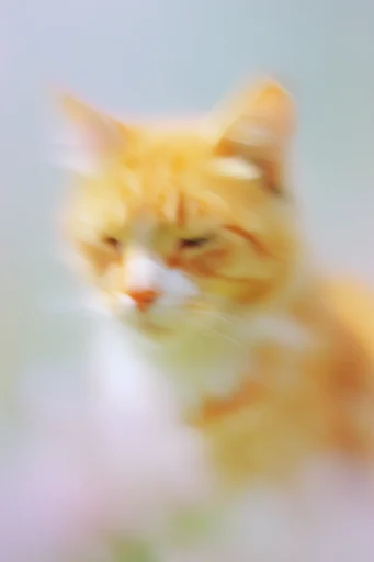 Nostalgic Ethereal Impressionism style reference image — impressionistic aesthetic