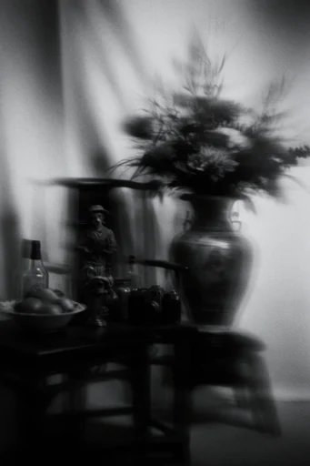 Ethereal Monochrome Motion style reference image — ghostly silhouettes
