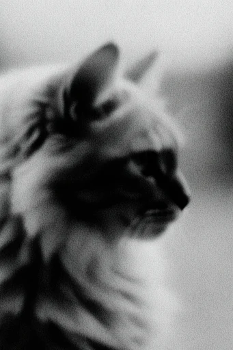 Ethereal Analog Noir style reference image — atmospheric noir