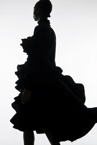Graphic Avant-Garde Silhouette style reference image — low-angle shot