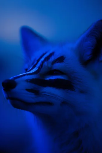 Nocturnal Cybernetic Noir style reference image — high-contrast chiaroscuro