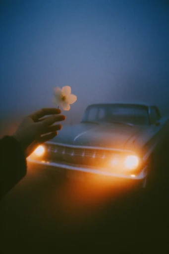 Cinematic Twilight Noir style reference image — analog film grain