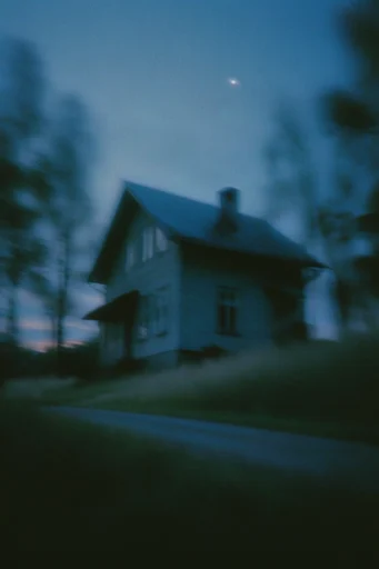 Nocturnal Twilight Melancholy style AI image example 4