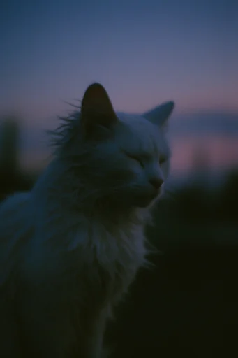 Cinematic Hazy Melancholy style reference image — vintage 35mm aesthetic