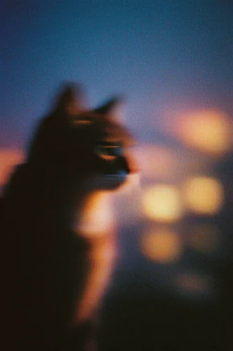 Ethereal Nocturnal Blur style reference image — soft focus