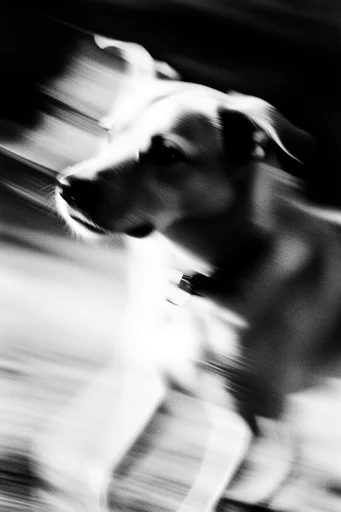 Kinetic Noir Abstraction style reference image — stark chiaroscuro lighting