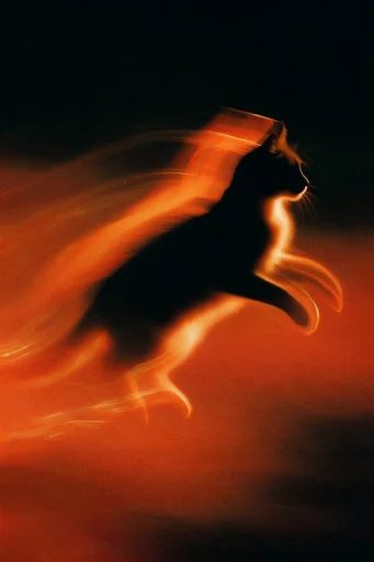 Nocturnal Kinetic Ember style reference image — cinematic silhouette