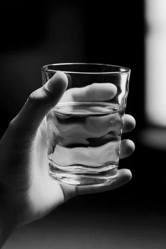 Monochrome Refractive Minimalism style reference image — high-contrast monochrome