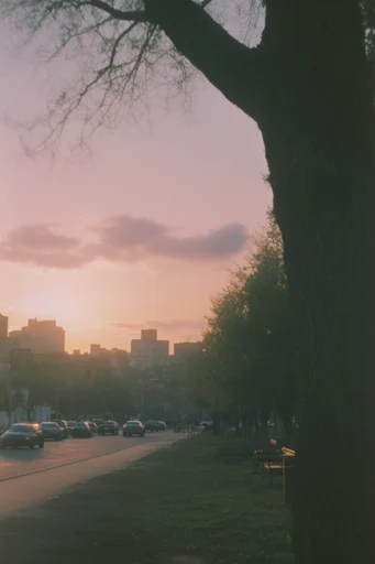 Nostalgic Pastoral Golden-Hour style reference image — 35mm film photography