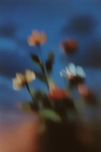 Ethereal Nocturnal Blur style reference image — soft focus