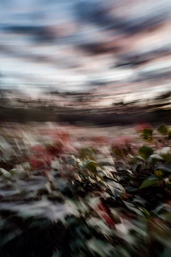 Kinetic Blur Velocity style reference image — panning shot