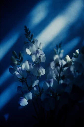 Cyanic Cyber Noir style reference image — chiaroscuro lighting