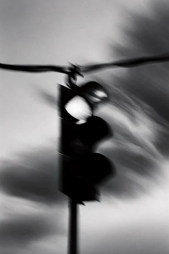 Kinetic Spectral Monochrome style reference image — fine art photography