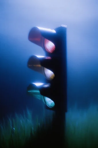 Bioluminescent Abyssal Noir style reference image — bioluminescent glow