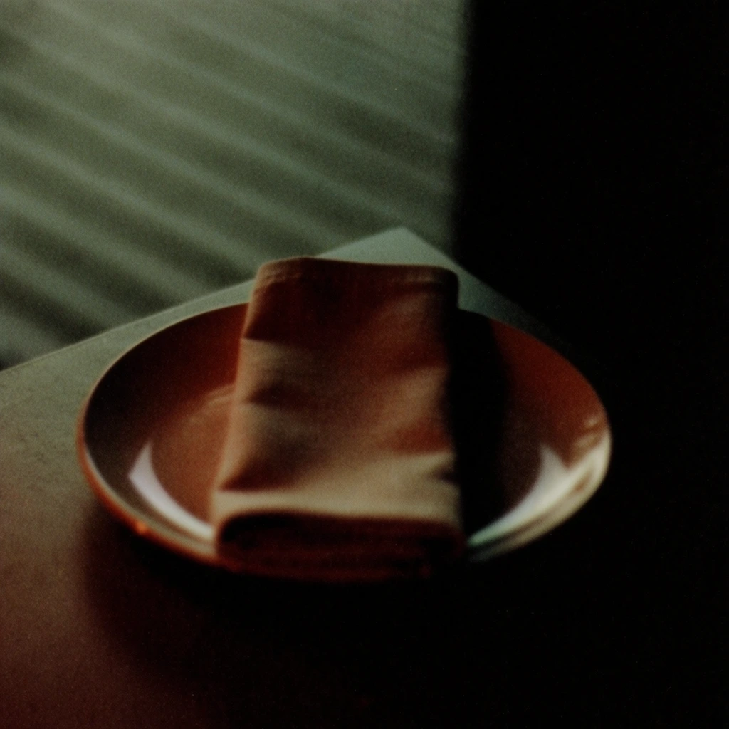 A single round plate and a vertically folded cloth napkin sit on a flat surface, captured in an underexposed, high-contrast analog film style with heavy grain. The napkin rests precisely down the center of the plate, illuminated by a soft, directional light source from the left side of the frame. A muted color palette dictates the lit portions of the objects, featuring warm rust tones, deep browns, and desaturated olive greens. Deep, pitch-black shadows completely engulf the right half and lower edges of the composition, creating a heavy, asymmetrical vignette and substantial dark space. The rendering utilizes a very shallow depth of field and a slightly soft, diffused focus, gently blurring the exact edges of the tableware. Behind the plate, the background consists of a highly out-of-focus, diagonal ribbed pattern in grayish-green tones. Coarse visual noise and a distinct vintage photographic texture permeate the entire image, emphasizing the stark transition between the softly illuminated elements on the left and the solid black void dominating the right.