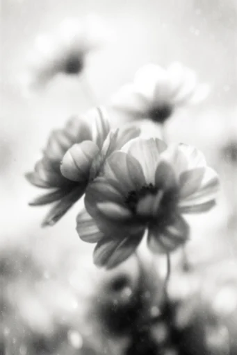Ethereal Noir Pictorialism style reference image — stippled texture