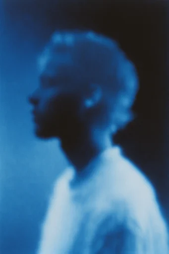 Ethereal Nocturnal Cyanotype moodboard — generate AI images in this style