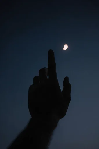 Minimalist Nocturnal Silhouettes style reference image — minimalist composition