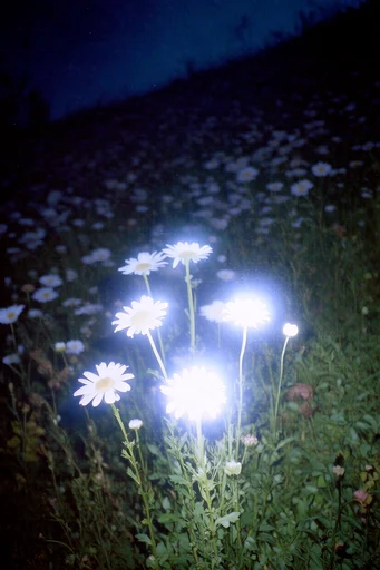 Spectral Nocturnal Glow style reference image — spectral light