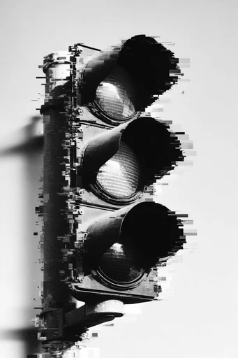 Monochrome Glitch Brutalism style reference image — pixel sorting