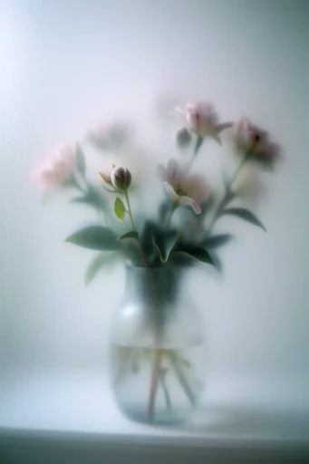 Ethereal Obscured Minimalism style reference image — heavy film grain