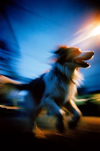 Cinematic Nocturnal Blur style reference image — liminal space