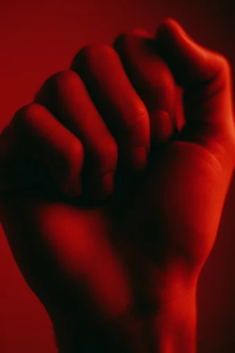 Cinematic Crimson Noir style reference image — saturated crimson background