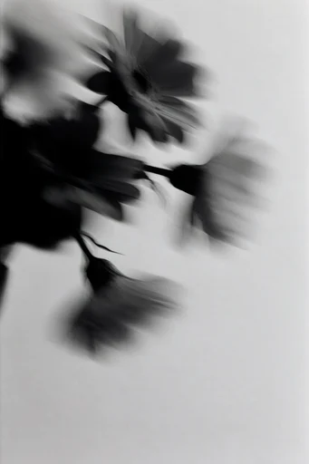 Ethereal Kinetic Monochrome style reference image — ethereal silhouettes