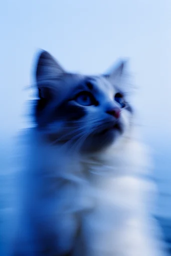 Dynamic Kinetic Abstraction style reference image — dynamic abstraction